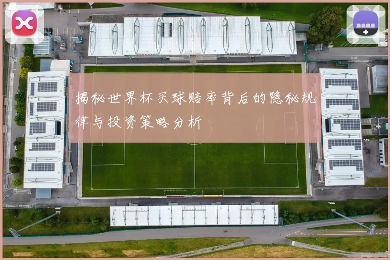 揭秘世界杯买球赔率背后的隐秘规律与投资策略分析
