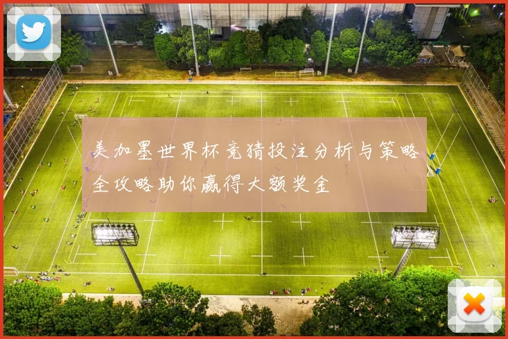 美加墨世界杯竞猜投注分析与策略全攻略助你赢得大额奖金