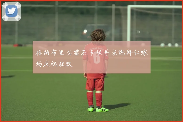 格纳布里戈雷茨卡联手点燃拜仁球场庆祝狂欢