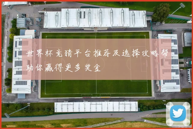 世界杯竞猜平台推荐及选择攻略帮助你赢得更多奖金